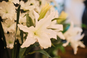 Professionelles Thai Massage Ambiente bei AYAY Thai Wellness & Massage